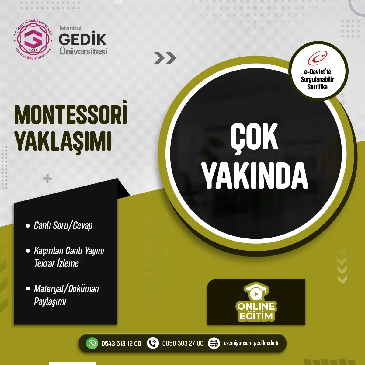 Montessori Yaklaşımı Eğitimi Sertifika Programı (CANLI)