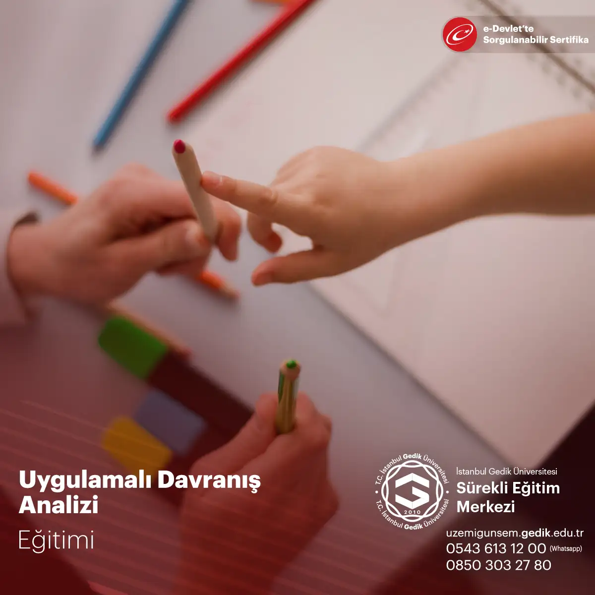 Uygulamalı Davranış Analizi