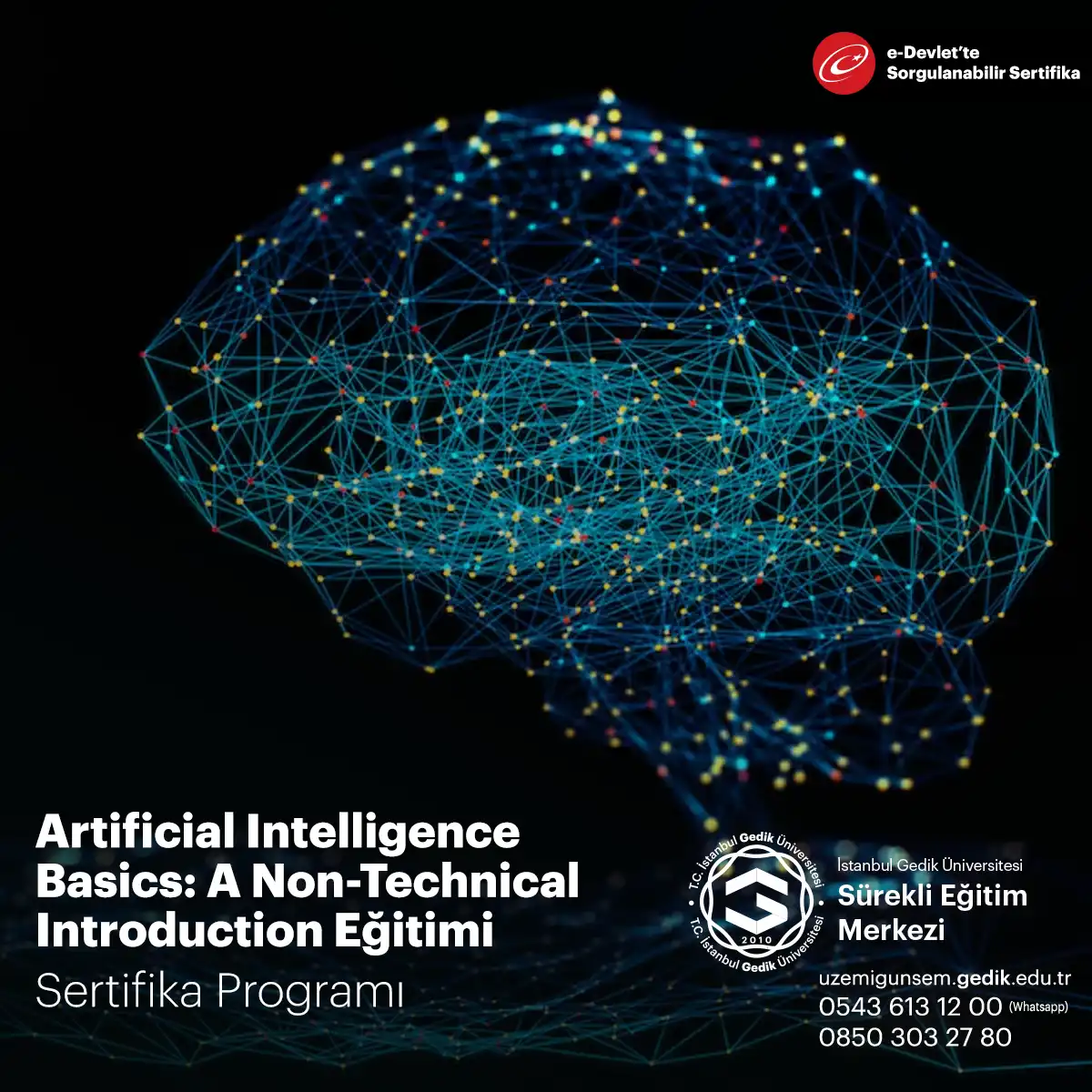 Artificial Intelligence Basics: A Non-Technical Introduction Eğitimi 
