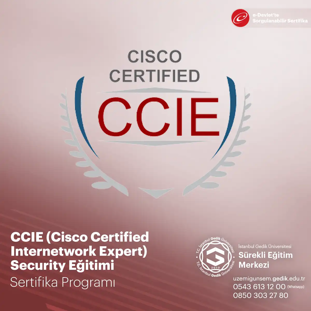 CCIE (Cisco Certified Internetwork Expert) Security Eğitimi 