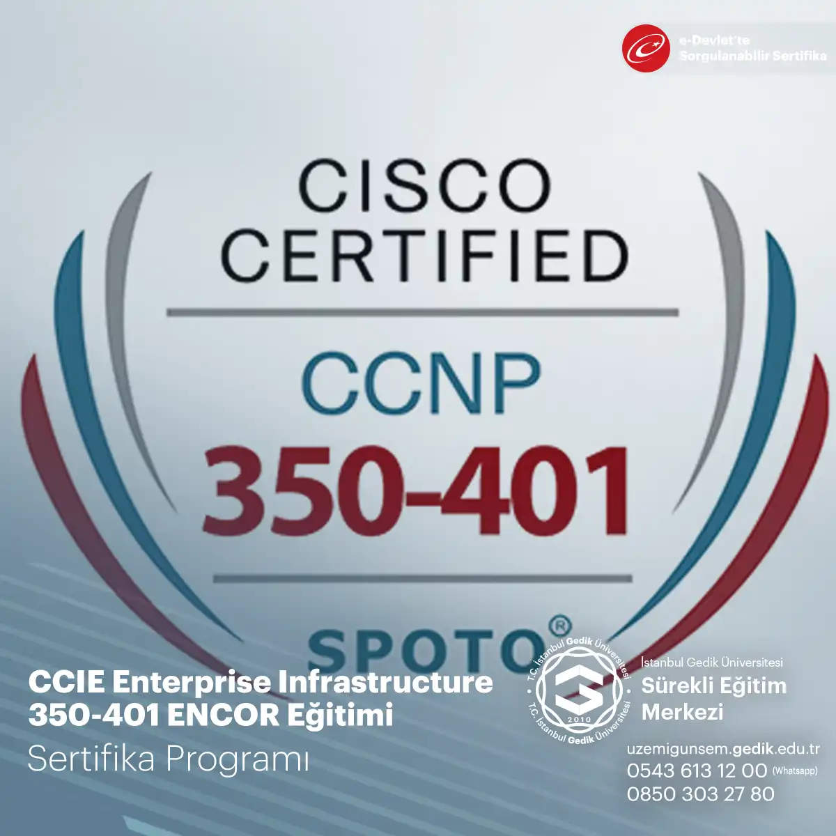 CCIE Enterprise Infrastructure 350-401 ENCOR Eğitimi 