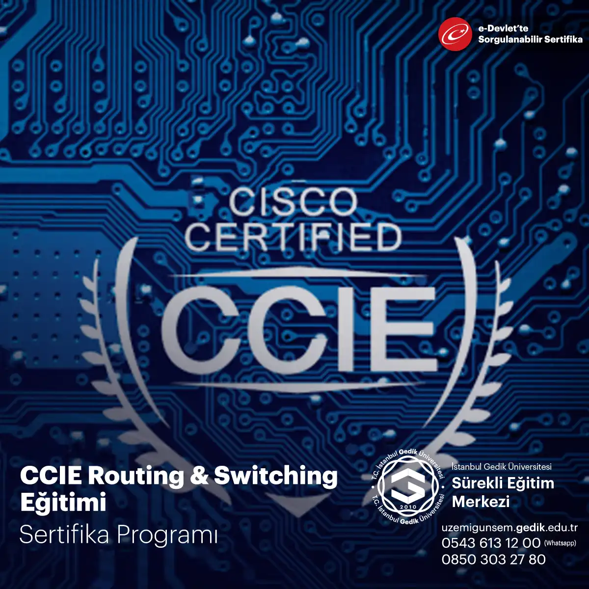 CCIE Routing & Switching Eğitimi 