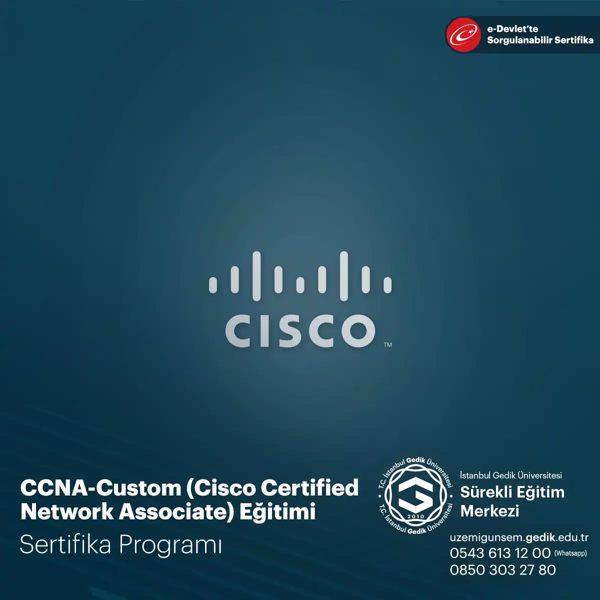 CCNA-Custom (Cisco Certified Network Associate) Eğitimi 