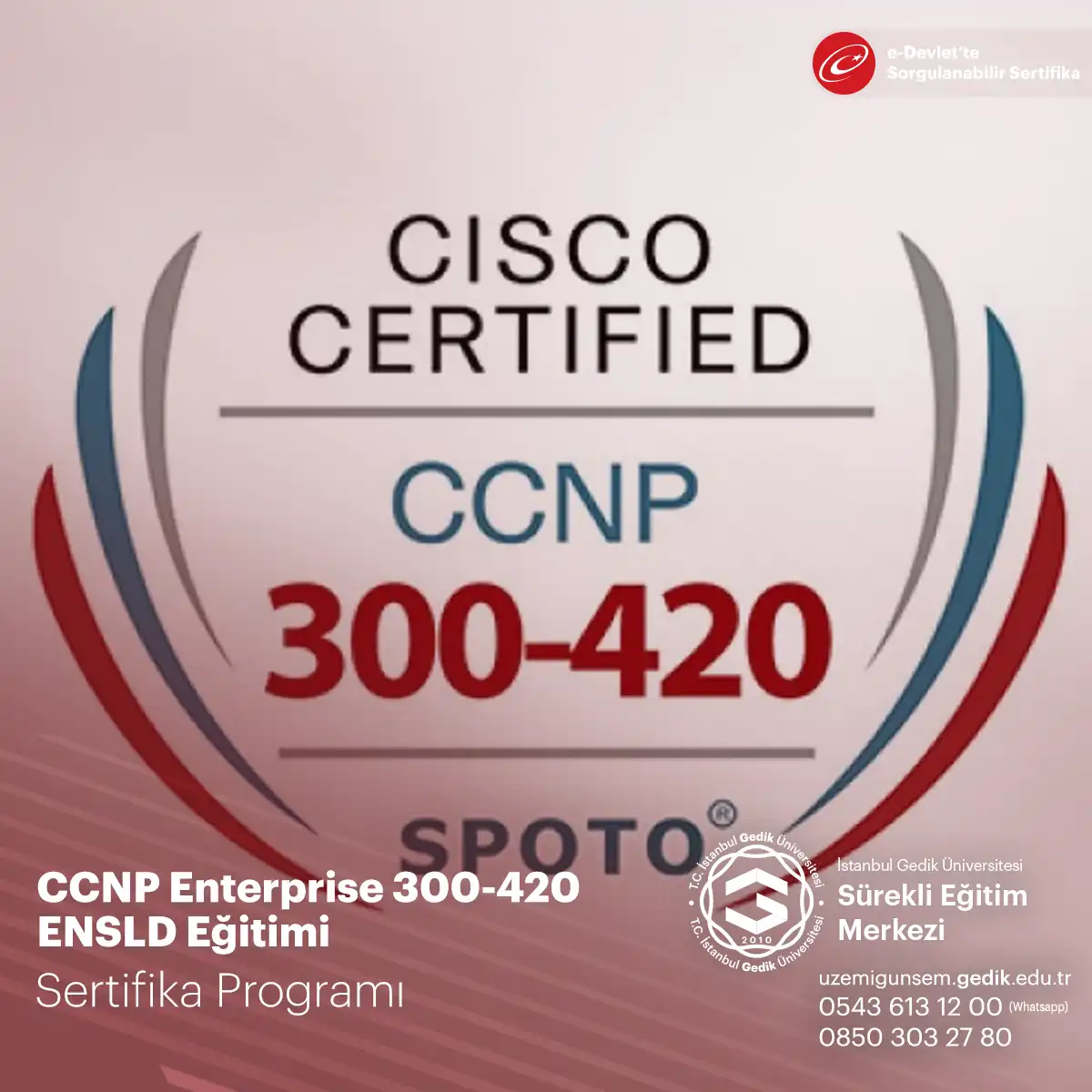 CCNP Enterprise 300-420 ENSLD Eğitimi 