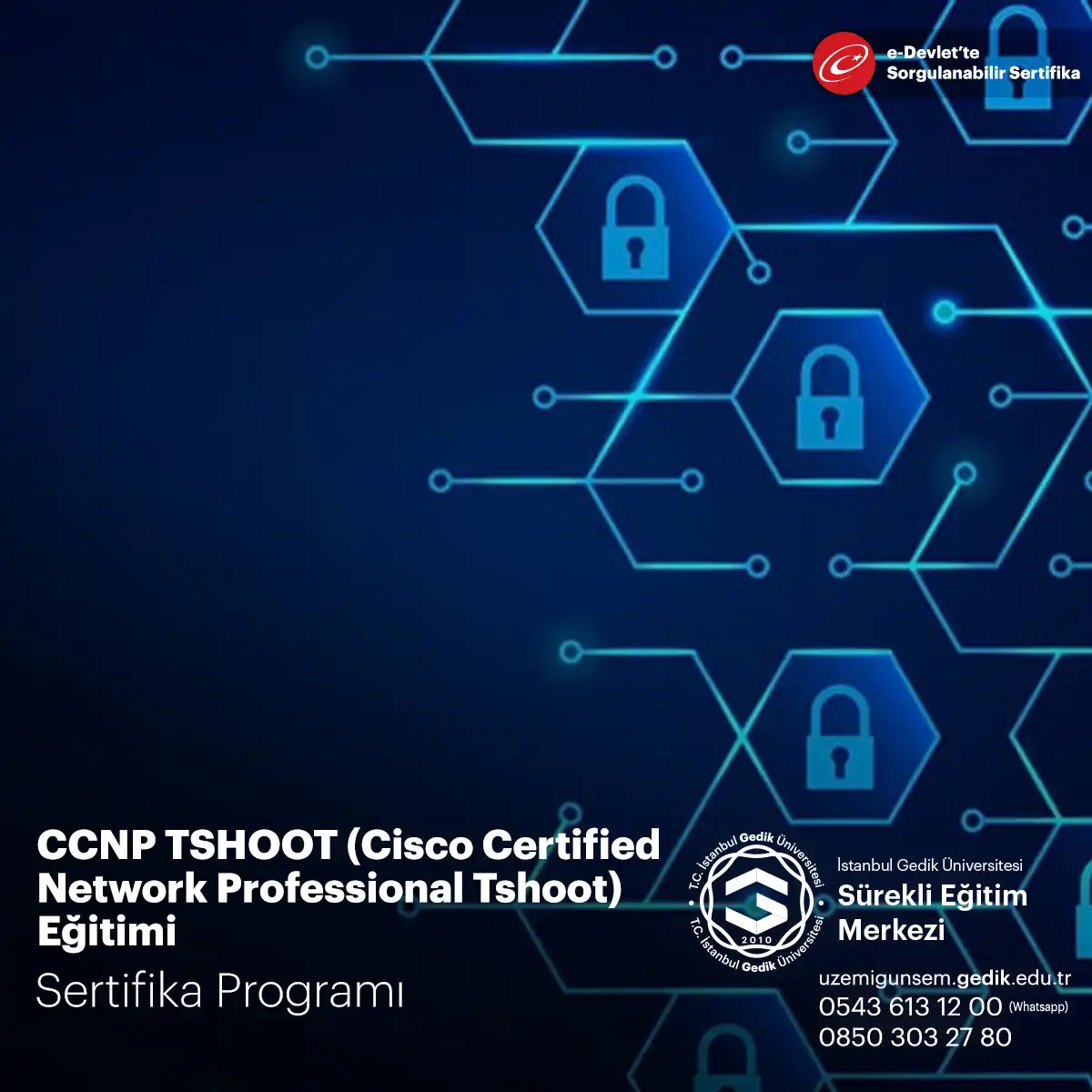 CCNP TSHOOT (Cisco Certified Network Professional Tshoot) Eğitimi 