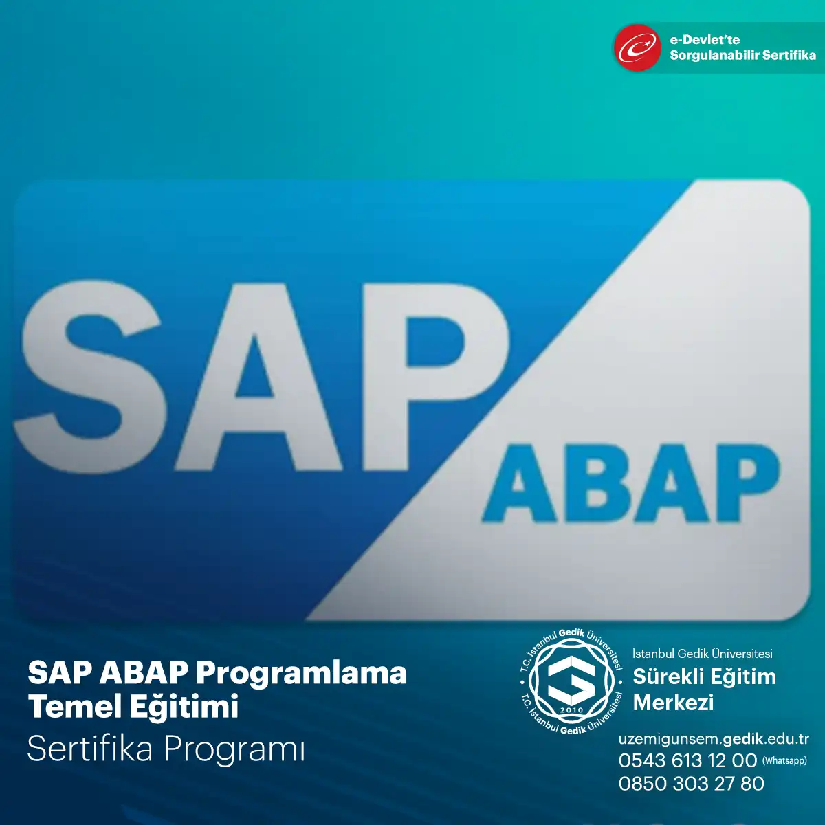 SAP ABAP Programlama Temel Eğitimi 