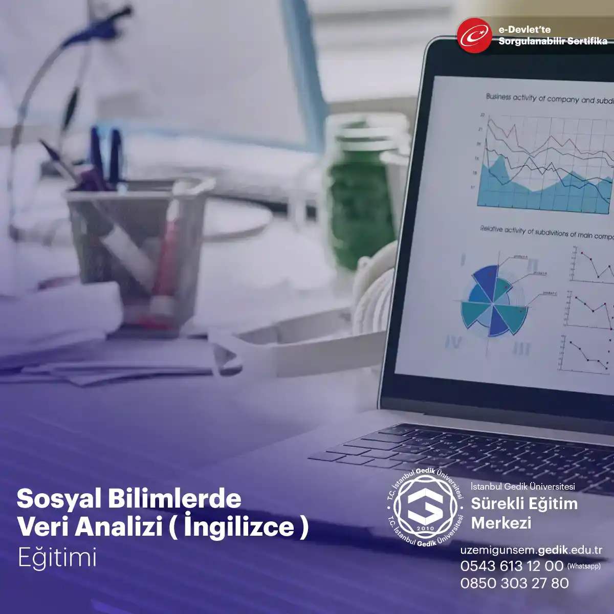 Sosyal Bilimlerde Veri Analizi Eğitimi - İngilizce