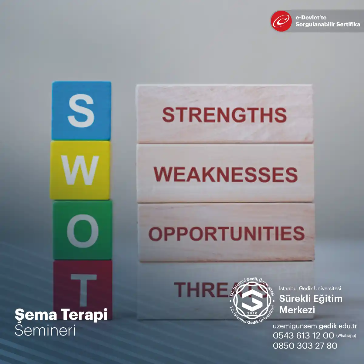 Şema Terapi Semineri