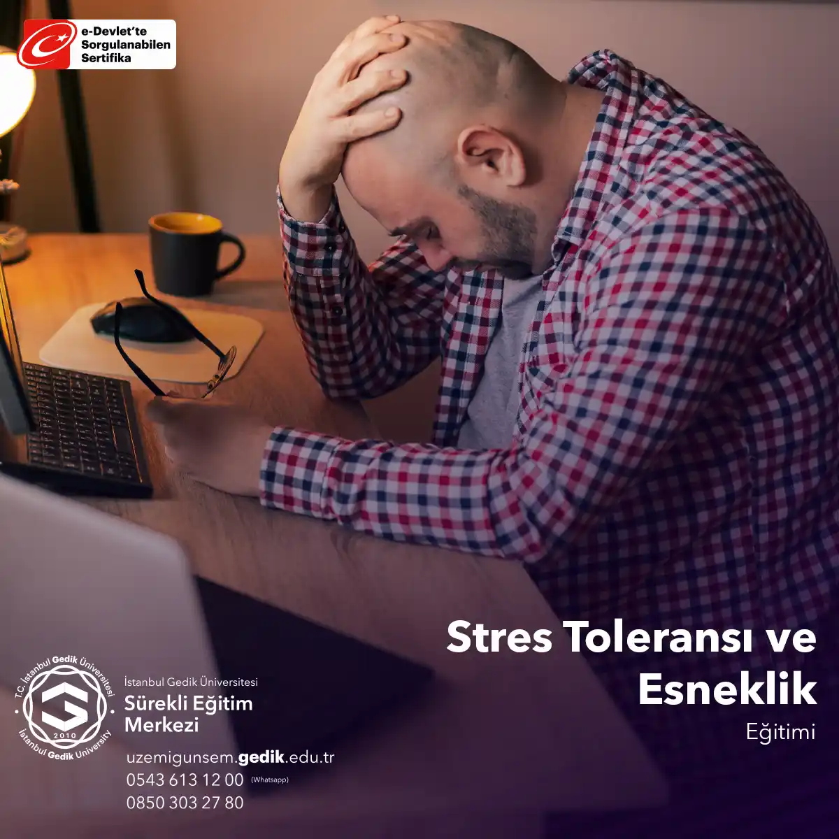 Esneklik, Stres Toleransı Eğitimi
