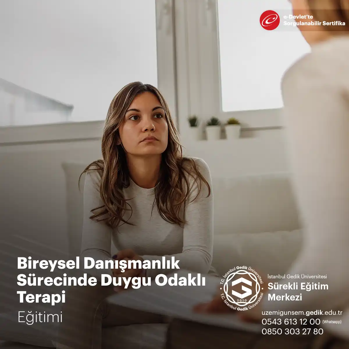 Bireysel Danışmanlık Sürecinde Duygu Odaklı Terapi
